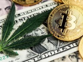 Cannabis With Cryptocurrency