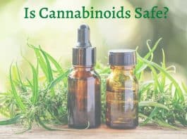 Are cannabis and cannabinoids safe